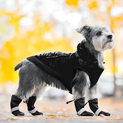 Black Soft Shield Winter Boots | Canada Pooch