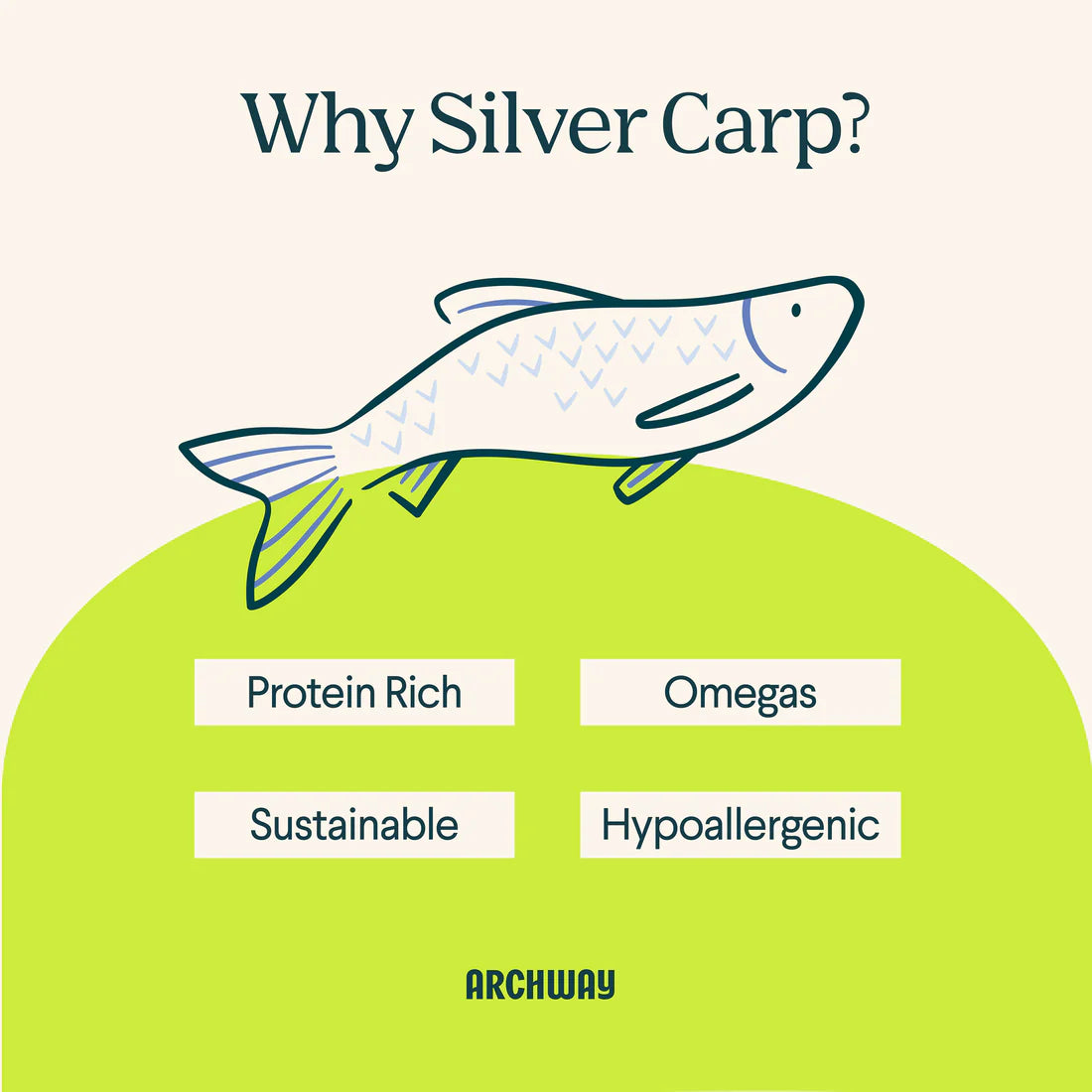 Silver Carp Dog Treats