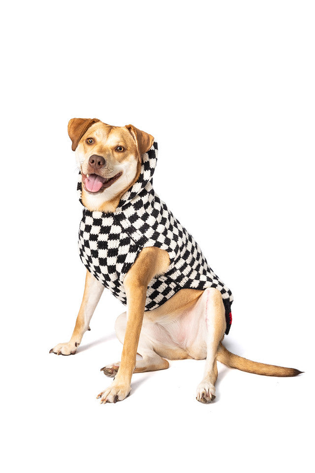 Checkerboard Hoodie Dog Sweater by Chilly Dog