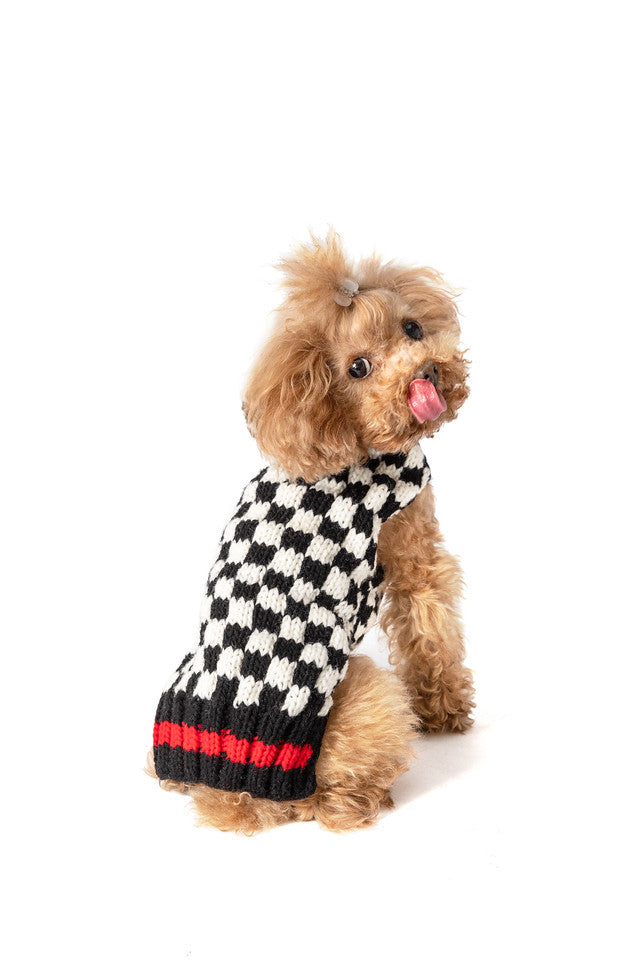 Checkerboard Hoodie Dog Sweater by Chilly Dog