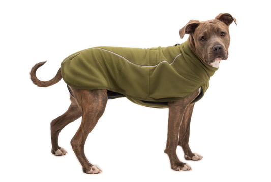 Climate Changer Dog Fleece Vest Cedar Green