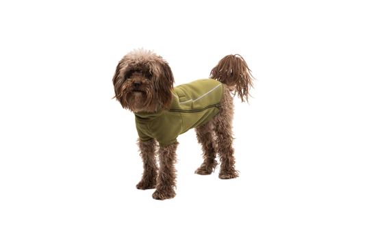 Climate Changer Dog Fleece Cedar Green