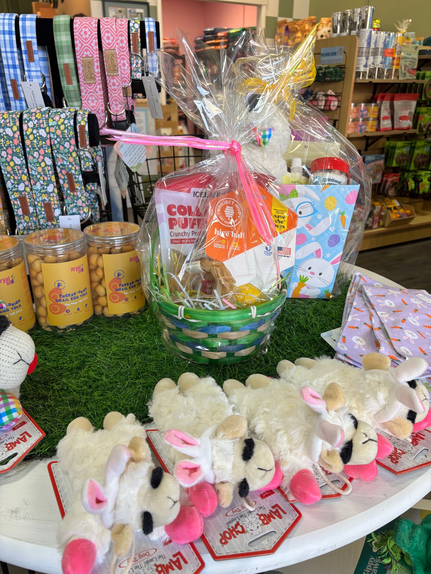 Dog's Best Easter Basket