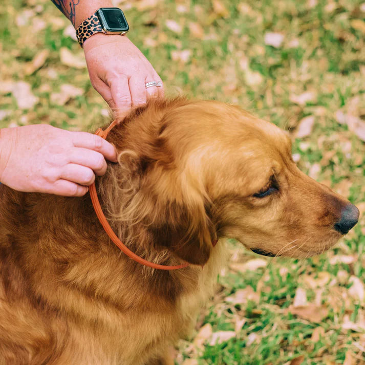 Flea & Tick Collar | Wondercide