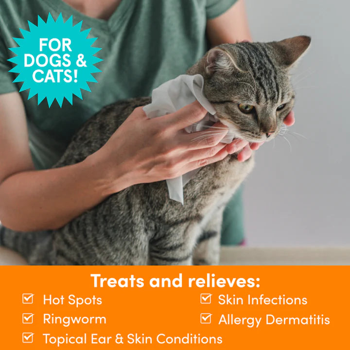 Medicated Pet Wipes | Antifungal & Antibacterial