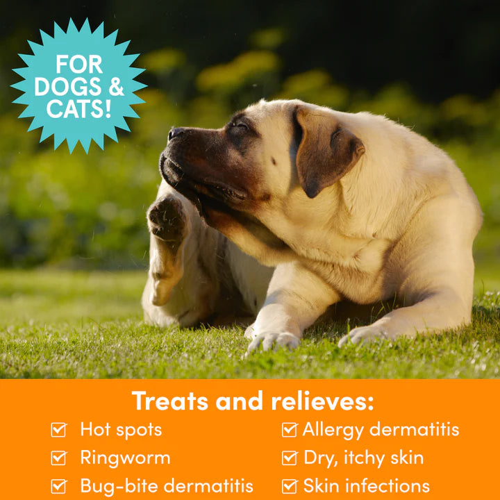 Medicated Pet Spray | Antifungal & Antibacterial