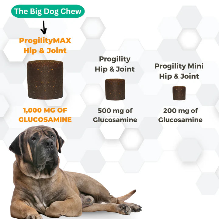 Progility Max Hip & Joint Chews | with Eggshell Membrane