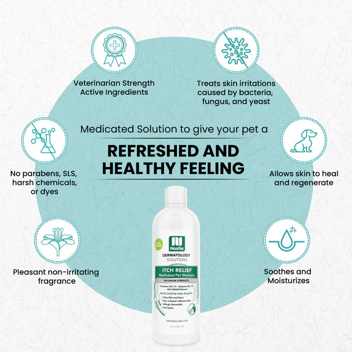 Itch Relief Medicated Shampoo | Relieves Itching & Scratching