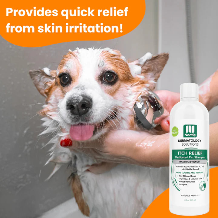 Itch Relief Medicated Shampoo | Relieves Itching & Scratching