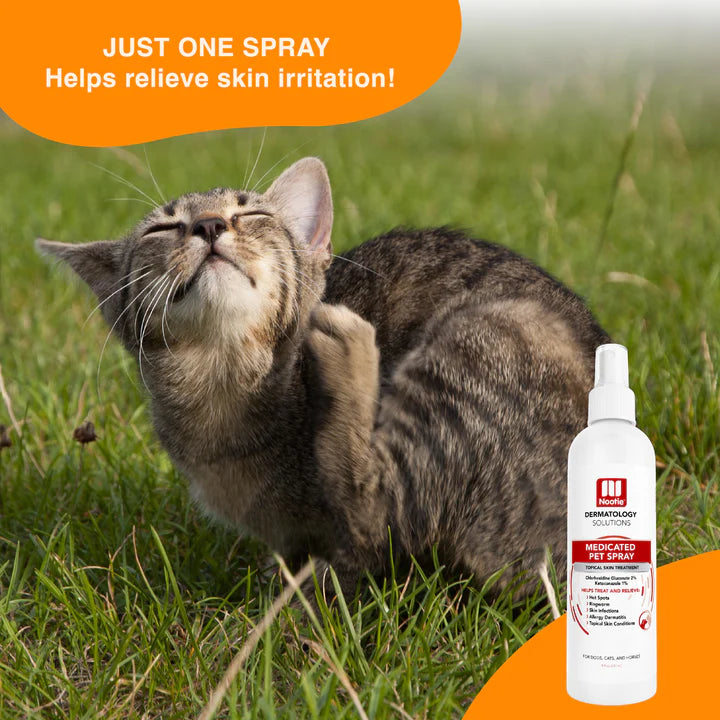 Medicated Pet Spray | Antifungal & Antibacterial
