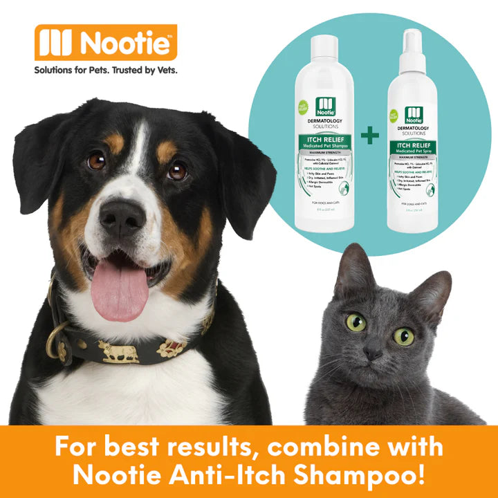 Itch Relief Medicated Shampoo | Relieves Itching & Scratching