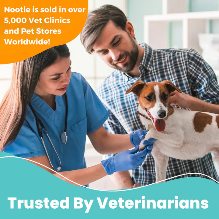 Medicated Pet Ear Flush | Antifungal & Antibacterial