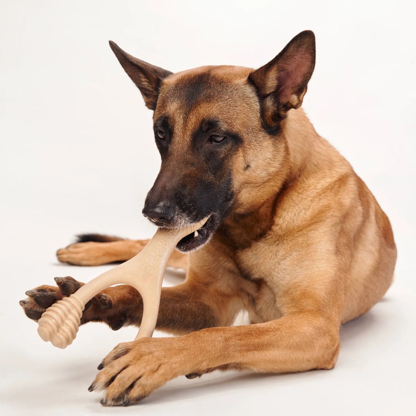 The BetterBone MEDIUM Beef Chew Toy