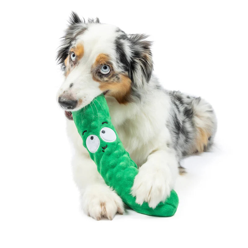 Fetchies Dell Pickle Plush Dog Toy | Huxley & Kent