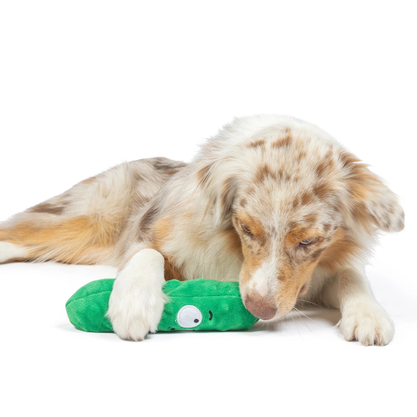 Fetchies Dell Pickle Plush Dog Toy | Huxley & Kent