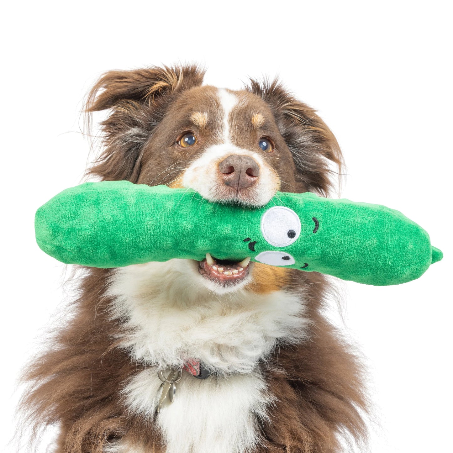 Fetchies Dell Pickle Plush Dog Toy | Huxley & Kent