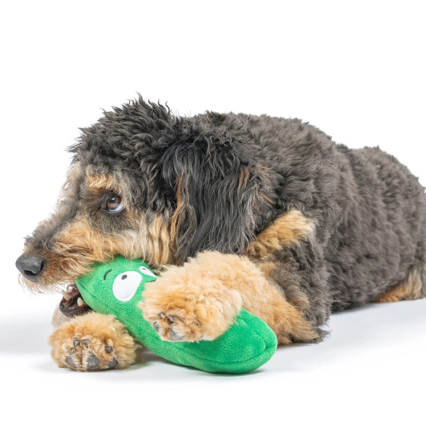 Fetchies Dell Pickle Plush Dog Toy | Huxley & Kent