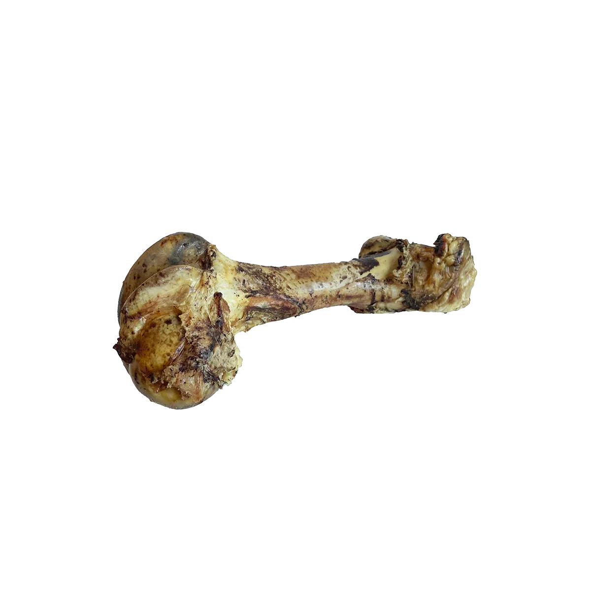 Home Range Dino Bone