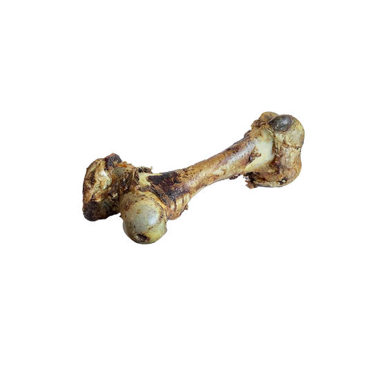 Home Range Dino Bone