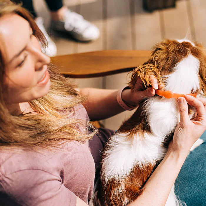 Flea & Tick Collar | Wondercide