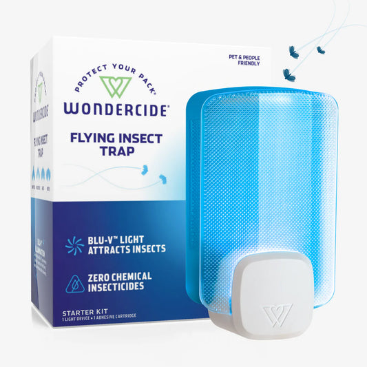 Flying Insect Trap | Wondercide