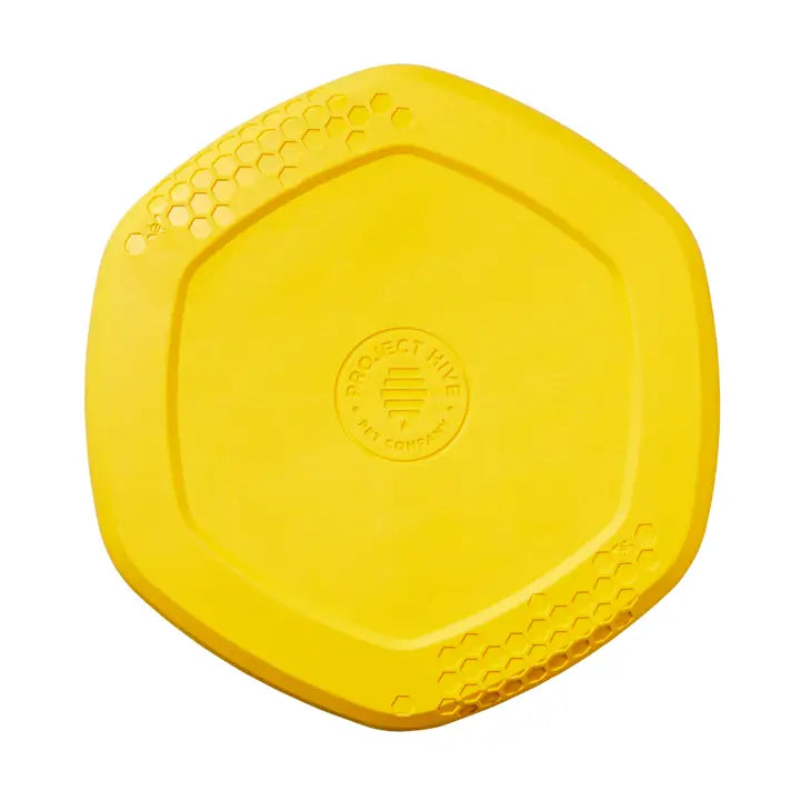 Project Hive Flying Disc