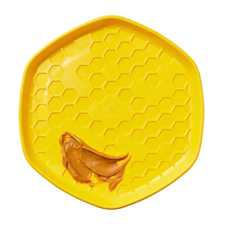 Project Hive Flying Disc