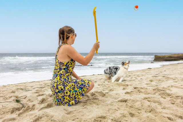 Project Hive Zoomer Dog Toy Launcher