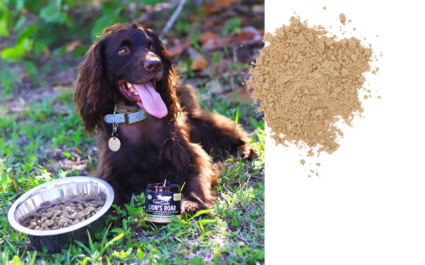 Lion's Roar Powder | Super Snouts