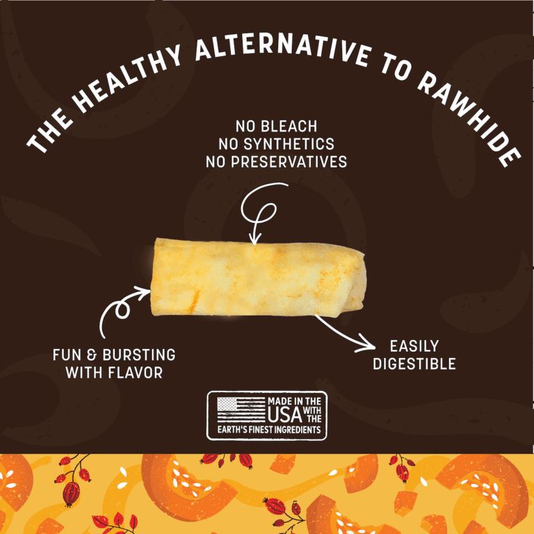 No-Hide Pumpkin Spice Chew - Individual