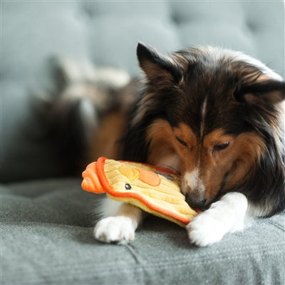 Mini Durable Chicky Toy | Outward Hound