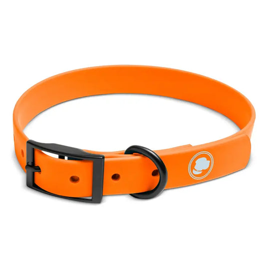 Orange Biothane Collar by The Modern Dog Company