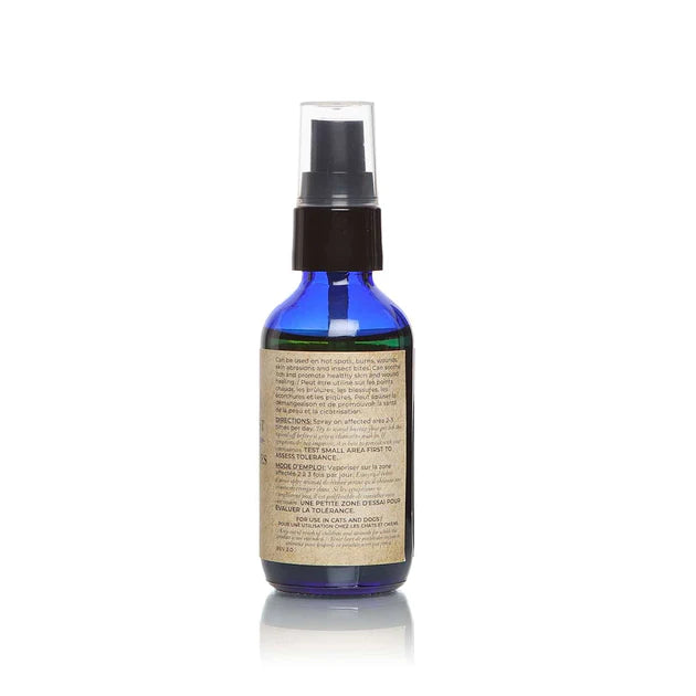 Adored Beast Apothecary Owies & Oopsies | Topical Cuts, Scrapes, & Sores