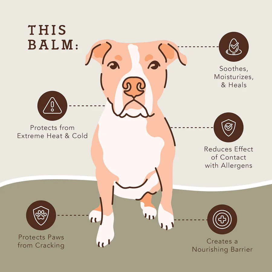 Natural Dog Company Pawtection Balm