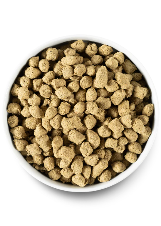 Open Farm Freeze Dried Raw Morsels, Harvest Chicken