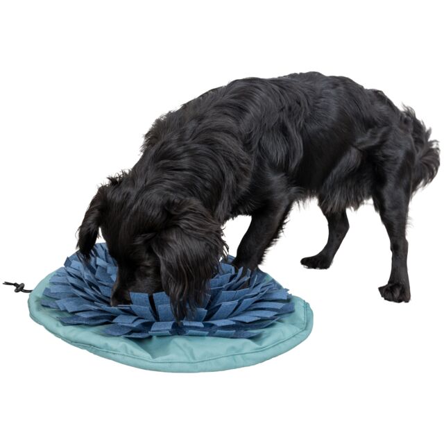 Snuffle & Seek Bowl | Trixie