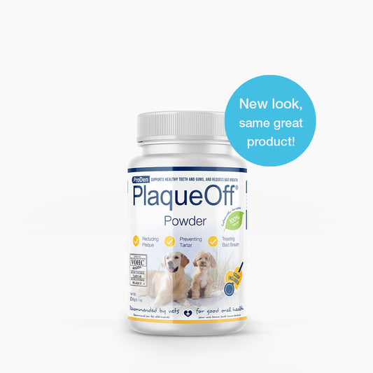 PlaqueOff Powder | ProDen