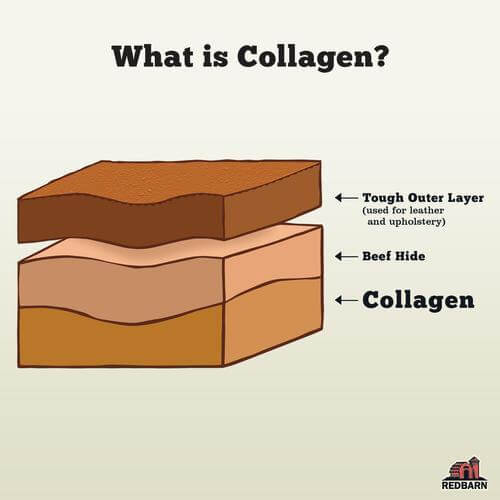 Redbarn Collagen Spring