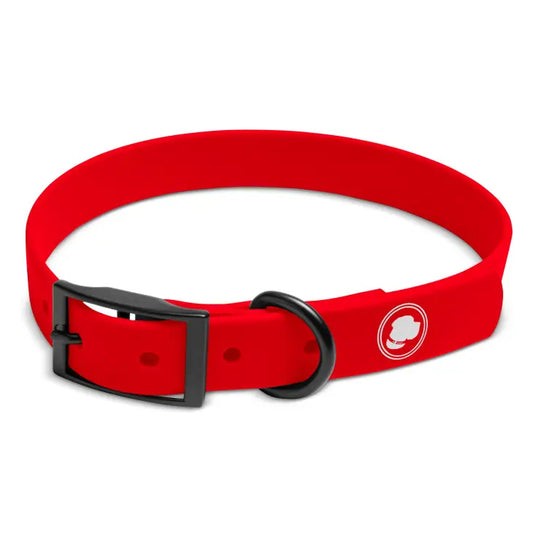 Red Biothane Dog Collar by The Modern Dog Company