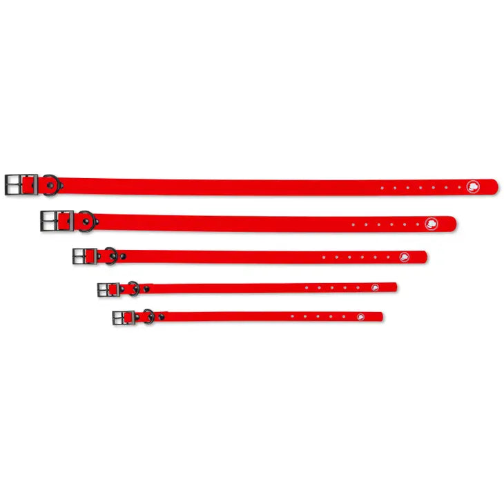 Red Biothane Dog Collar by The Modern Dog Company