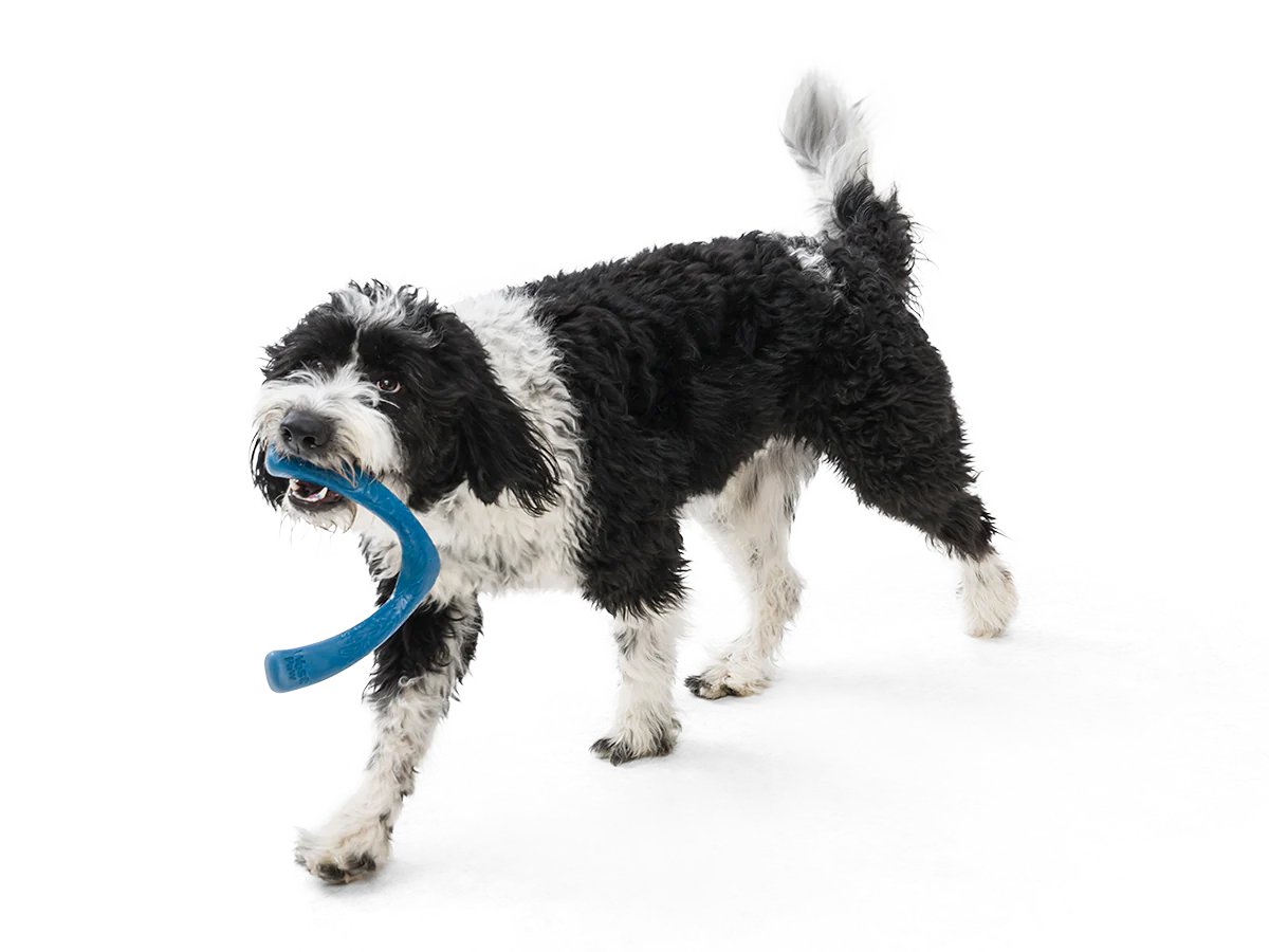 Snorkl Toy | West Paw