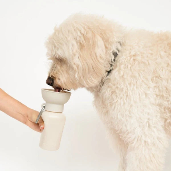 Flip Travel Dog Water Bottle