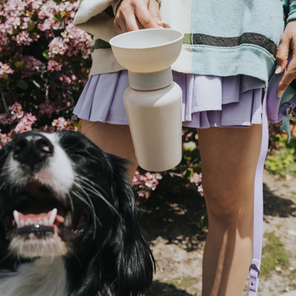 Flip Travel Dog Water Bottle