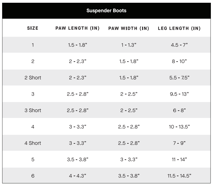 Black Suspender Boots- Dog Boots | Canada Pooch