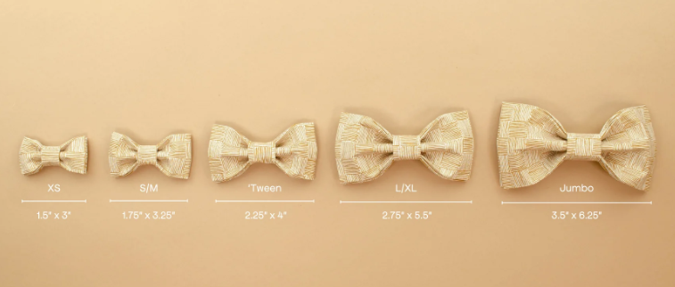 The Emma Girly Bow | Puddle Jumper Pups