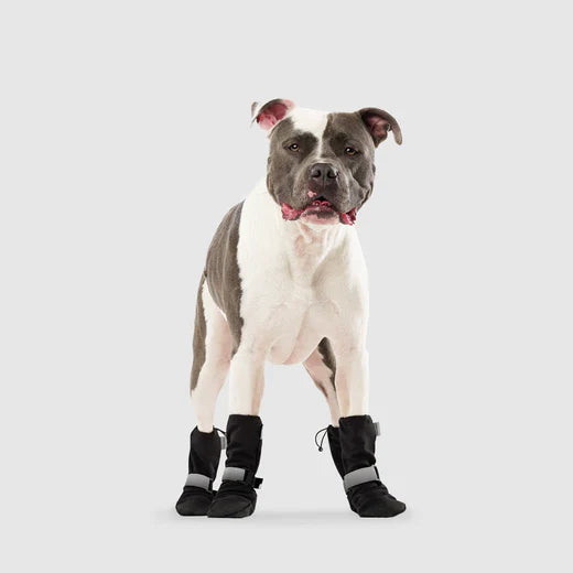 Black Soft Shield Winter Boots | Canada Pooch