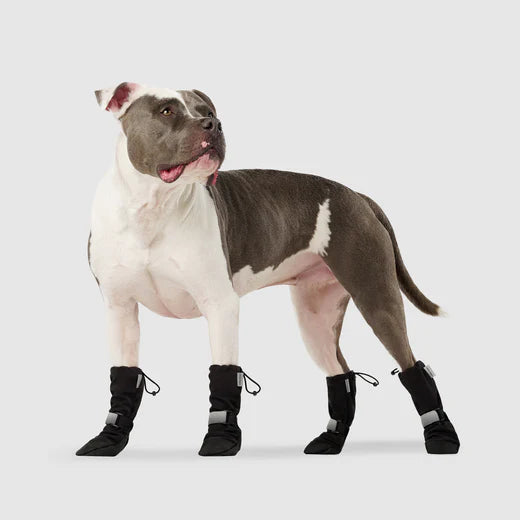 Black Soft Shield Winter Boots | Canada Pooch