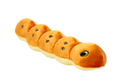 Spicy Caterpillar Plush Toy