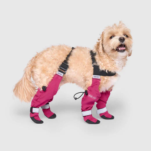 Pink Suspender Boots- Dog Boots
