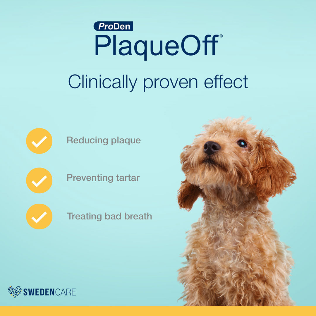 ProDen PlaqueOff System™ Dental Care Bones- Chicken & Pumpkin